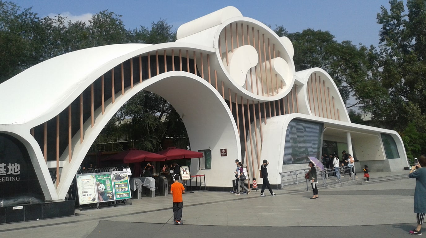 Giant panda at Chengdu Research Base